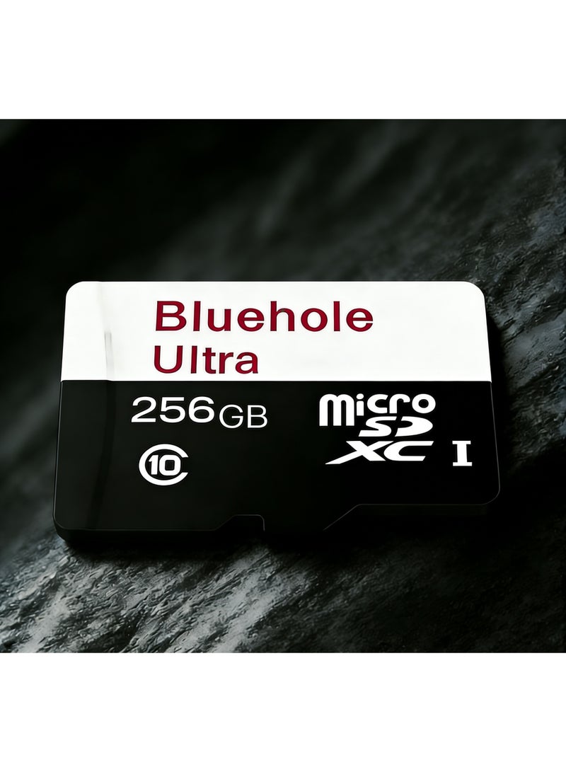 بلو هول بطاقة الذاكرة 256 جيجابايت - Image 2