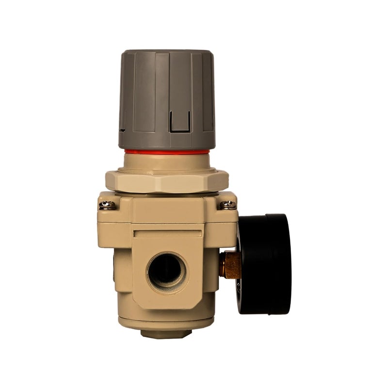 Hyco منظم هواء مع مقياس لوحدات ضاغط الهواء (1" AR 5000-10) - Image 3