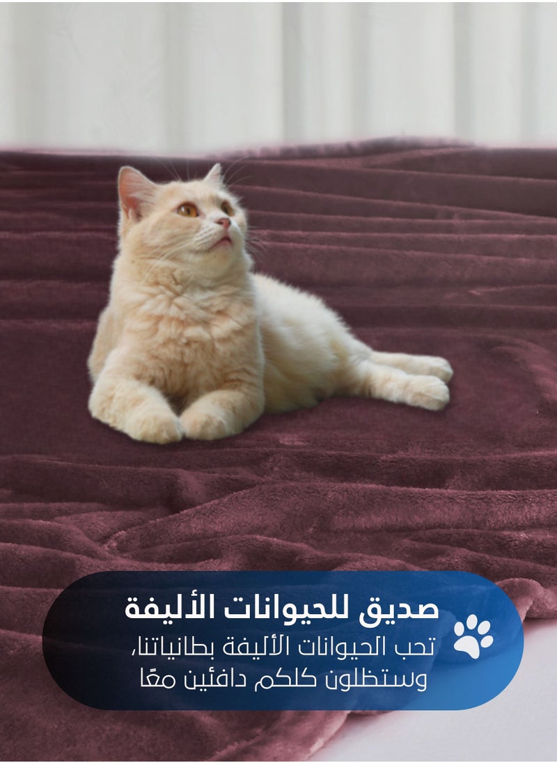 سيد المنسوجات المنزلية - بطانية مخمل خفيفه بمقاس مفرد، سلسلة مورا، 350 جم/متر مربع، 230 × 170 سم، صوف إضافي فائق النعومة لجميع فصول السنة، يستخدم كغطاء للسرير بطانيات . - Image 1