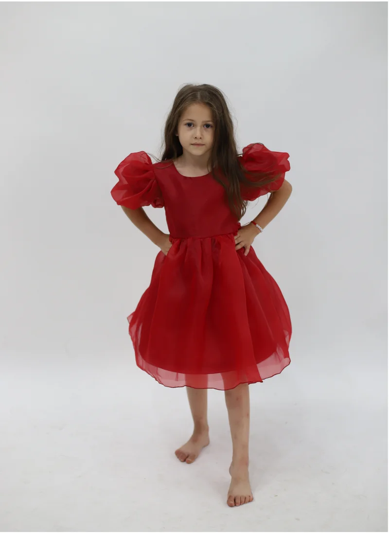 D'Daniela Tulle Volume Dress Red