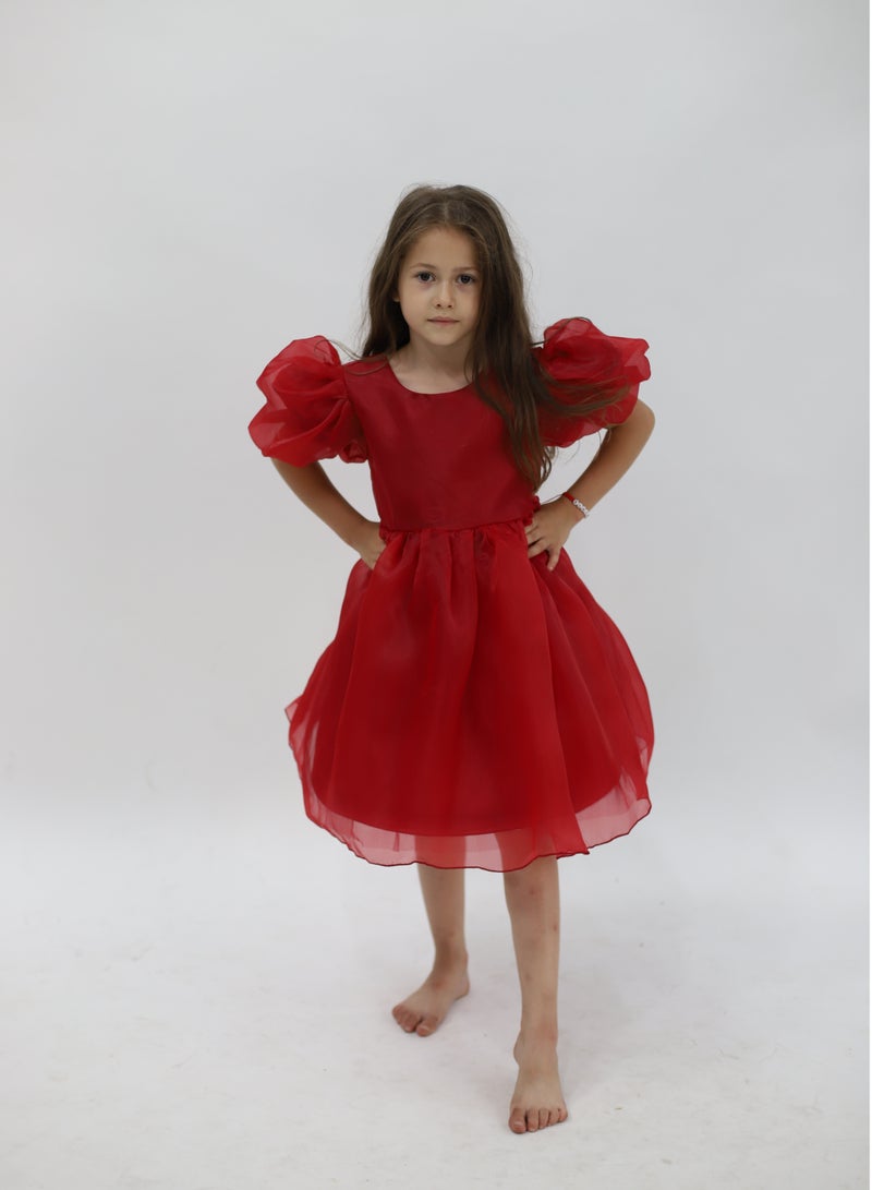 D'Daniela Puff Sleeve Dress - Image 1