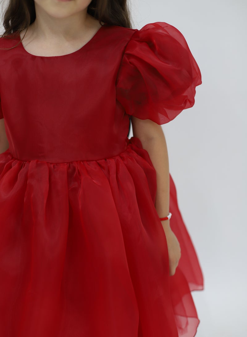 D'Daniela Puff Sleeve Dress - Image 3