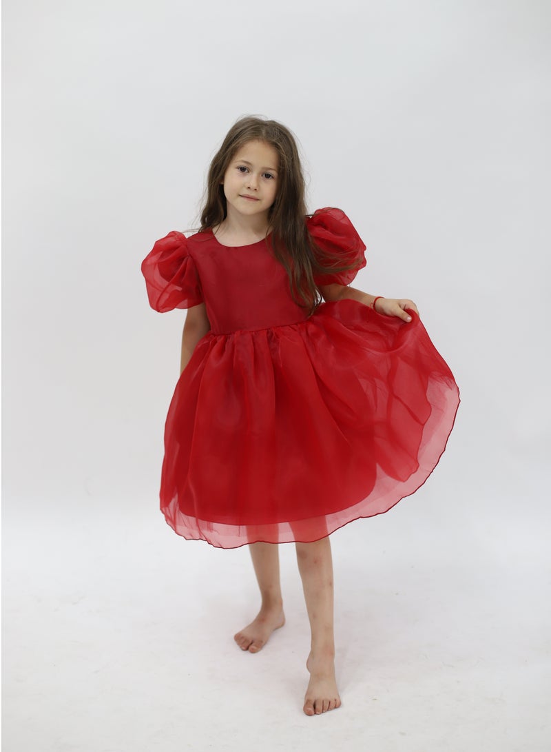 D'Daniela Puff Sleeve Dress - Image 2