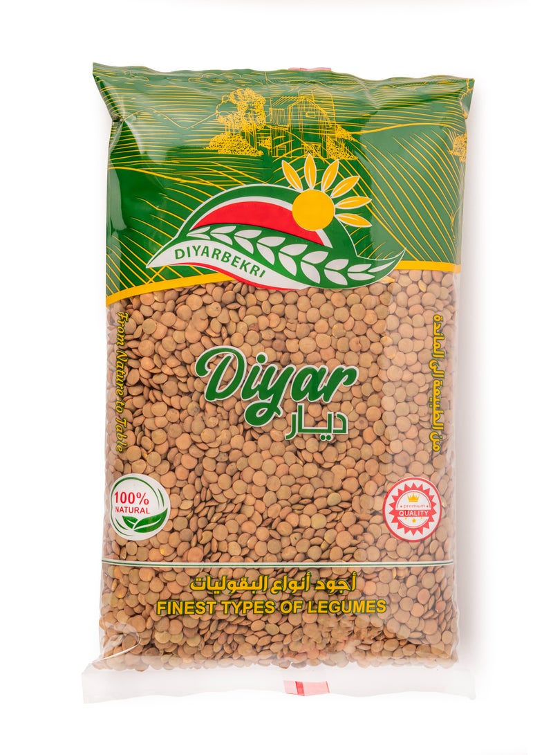 Diyar Brown Lentils Abu Jabba 1000g