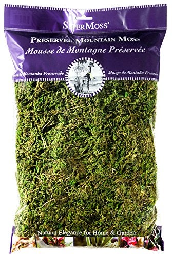 SuperMoss (23802) Mountain Moss Preserved, Fresh Green, 8 Ounces - Image 5