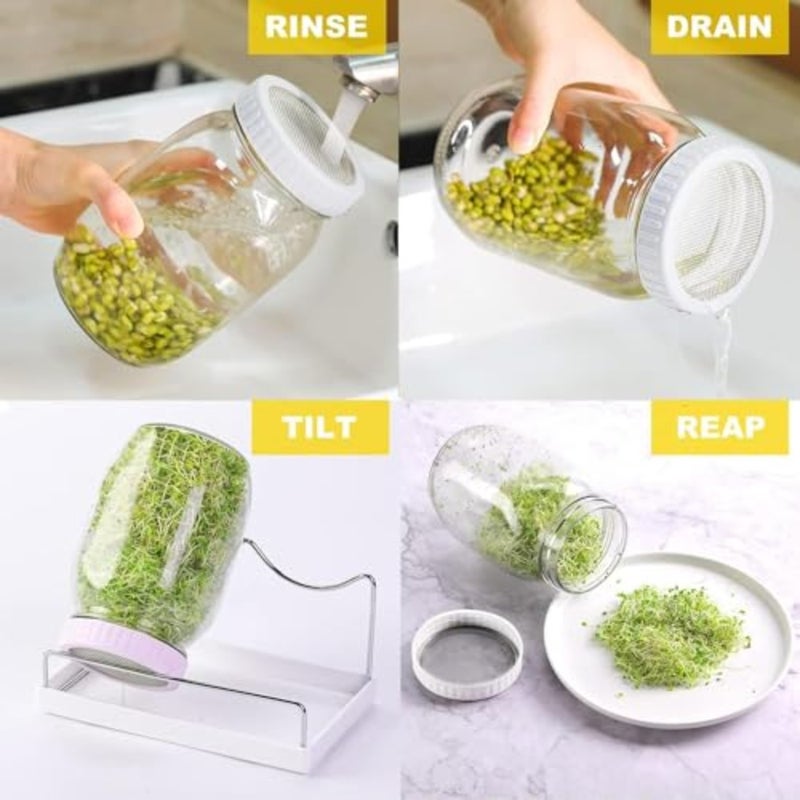 Sprouting Jar Kit for Growing Broccoli Alfalfa Mung Bean Premium Stainless Steel Screen Sprout Lids 2 Wide Mouth Mason Jars with Blackout Sleeves Tray Stand Canning Brush Home Kitchen Garden Use - Image 5