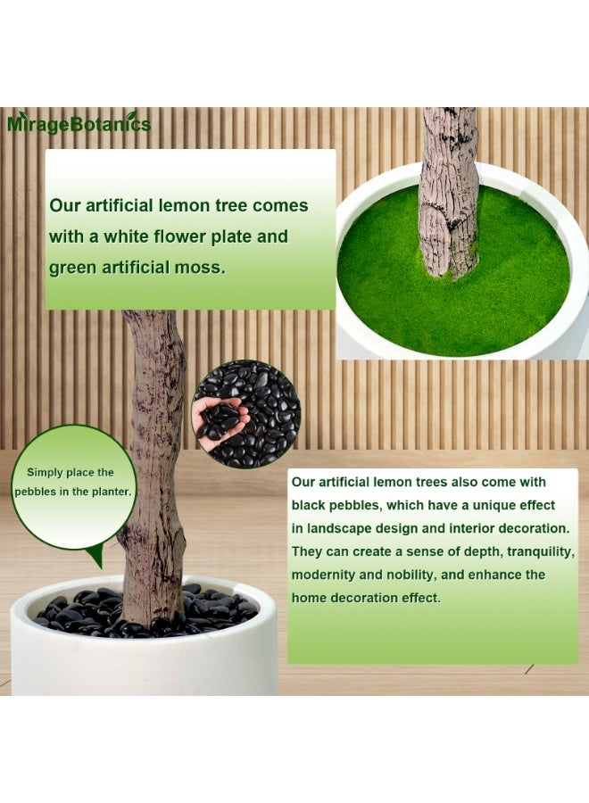 MirageBotanics Artificial Lemon Tree Indoor Outdoor - Faux Lemon Plant with Realistic Fruits & Natural Wood Trunk, Includes White Flower Pot for Home, Office, Mall, Hotel, Living Room, Meeting Room Decor - Image 3