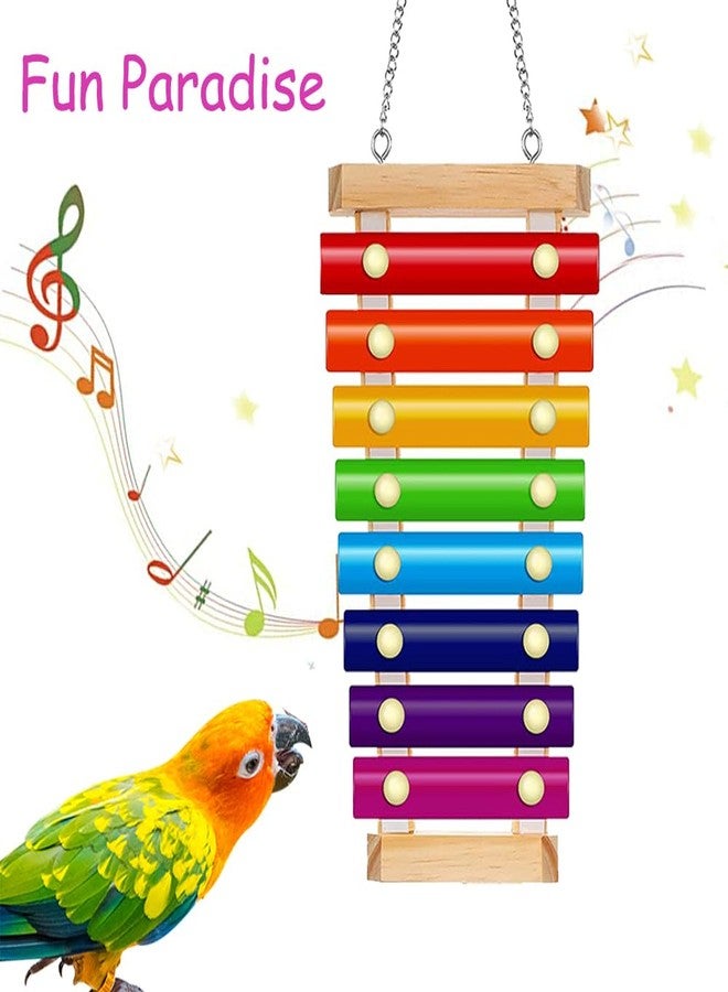 Fejapa Large Parrot Toy Bird Xylophone Toy Bird Cage Bell Accessories Music Musical Training Toy for Conure Budgie Cockatiel Cockatoos Parakeet Finch Love Birds Canary Macaws Medium Outdoor Wild Bird - Image 5
