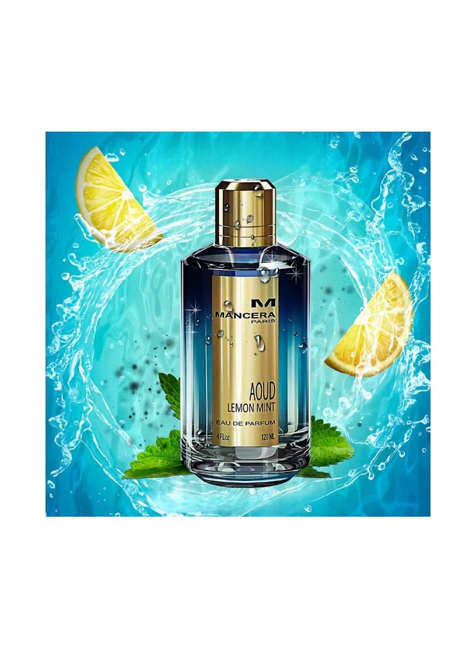 YOUMSERA Oud Lemon Mint Eau de Parfum 120ml - Image 2