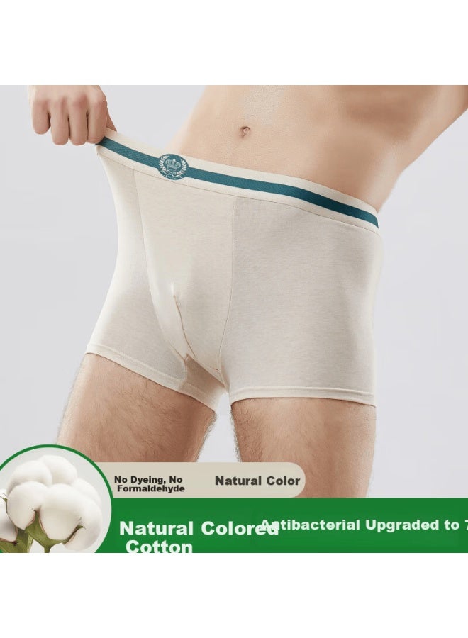 Yangxin Oxygen Heart 3-pack Natural Cotton Breathable Men's Underwear Silk Gusset Antibacterial High Elasticity Seamless Boxer Briefs For Men - Image 2