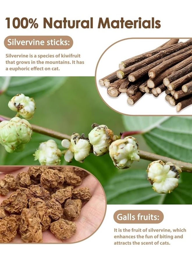يوريفو لعبة قطط طبيعية من أعواد نبات النعناع البري، أداة تنظيف أسنان القطط الصغيرة، أعواد مضغ من نبات النعناع البري للقطط والقطط الصغيرة - Image 2