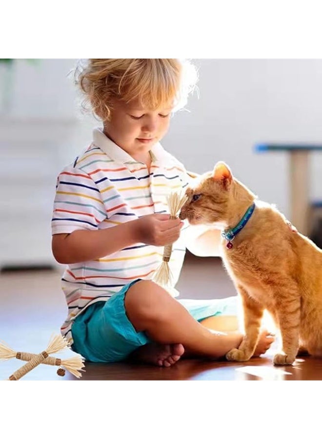 يوريفو لعبة قطط طبيعية من أعواد نبات النعناع البري، أداة تنظيف أسنان القطط الصغيرة، أعواد مضغ من نبات النعناع البري للقطط والقطط الصغيرة - Image 4