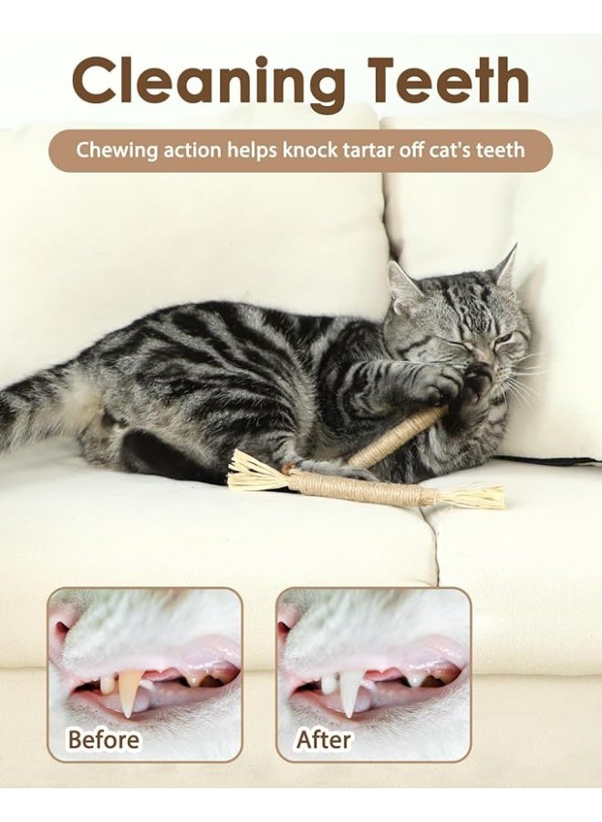 يوريفو لعبة قطط طبيعية من أعواد نبات النعناع البري، أداة تنظيف أسنان القطط الصغيرة، أعواد مضغ من نبات النعناع البري للقطط والقطط الصغيرة - Image 5