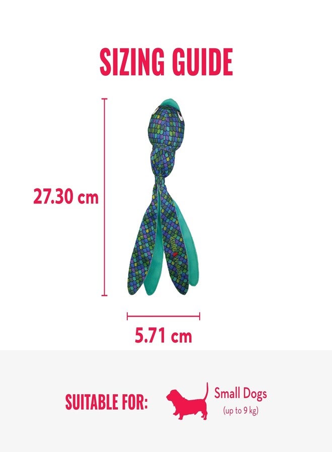 كونج لعبة KONG Wubba Finz - لعبة شد الحبل وجلب الكرة للكلاب - مستلزمات لعب الجراء والكلاب - لعبة للكلاب للاستخدام الداخلي والخارجي (أزرق، صغير) - Image 5