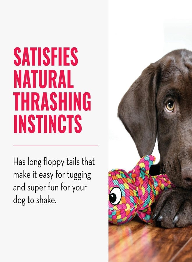 كونج لعبة KONG Wubba Finz - لعبة شد الحبل وجلب الكرة للكلاب - مستلزمات لعب الجراء والكلاب - لعبة للكلاب للاستخدام الداخلي والخارجي (أزرق، صغير) - Image 3