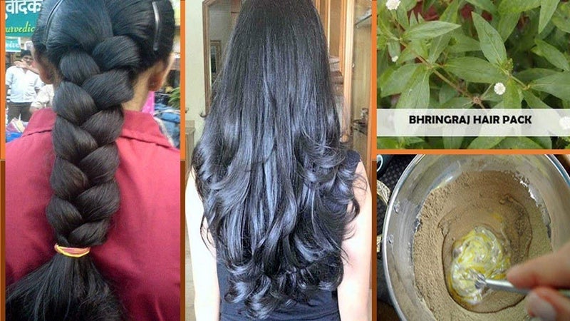 BRALCON Natural Raw Bhringraj 100g Eclipta Alba 100% Pure & Natural Leaves for Nourishment of Skin and Hair Ayurvedic Dry Leaves Hair Care Conditioner - Image 5