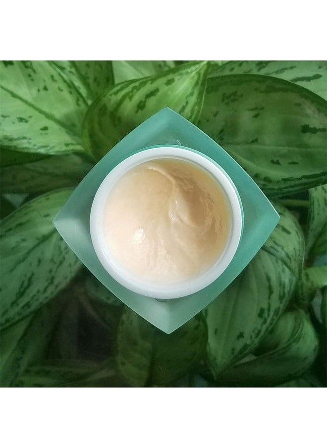 Christine Valmy - Valissima Nourishing Night Cream 1 Ounce - Image 1