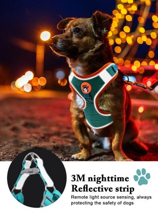 Small Dog Harness No Pull, Adjustable Dog Strap, Easy Control Padded Dog Vest Harness, Reflective No-Pull Pet Harness for Outdoor Walking，Training - view 5