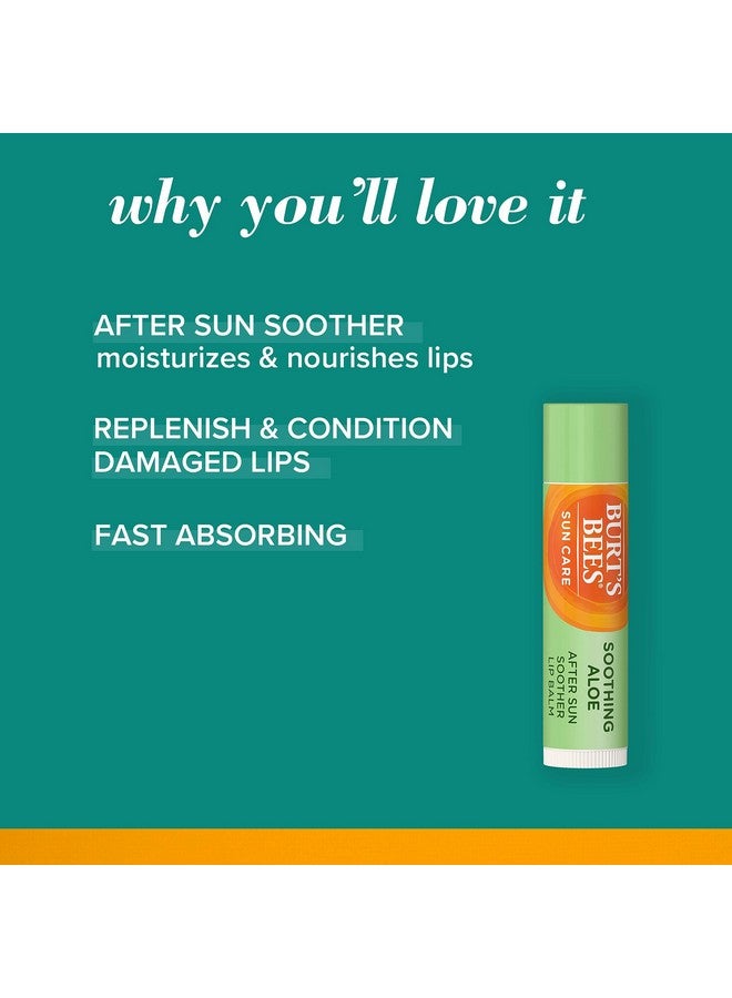 بيرتس بيز مرطب شفاه ملون من Burt's Bees بعامل حماية من أشعة الشمس SPF30، 2 لون شفاه كريمي كهدية عيد الميلاد مع واقي من الشمس بلون الخوخ والفاوانيا ووردة سينا العميقة + مهدئ الصبار بعد التعرض للشمس، مقشر بعد الاستخدام (عبوة من 3 قطع) - Image 2