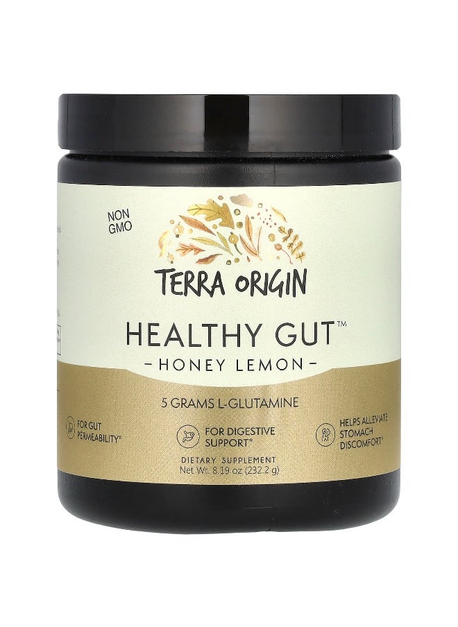 Terra Origin Terra Origin, Healthy Gut, Honey Lemon, 8.19 oz (232.2 g) 