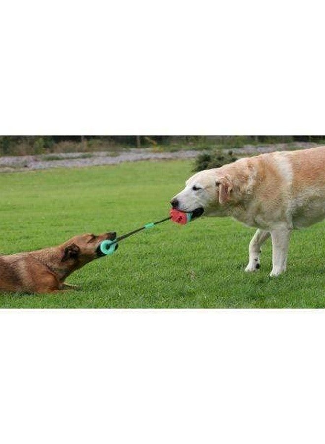 Dog Tug-Of-War Pull Chew Toys For Aggressive Chewers Food Dispensing Ball Toys For Puppy And Dog Training - Multicolor - Image 2