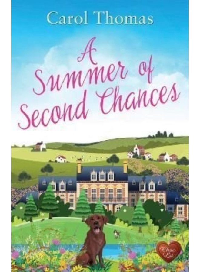 A Summer of Second Chances - Paperback