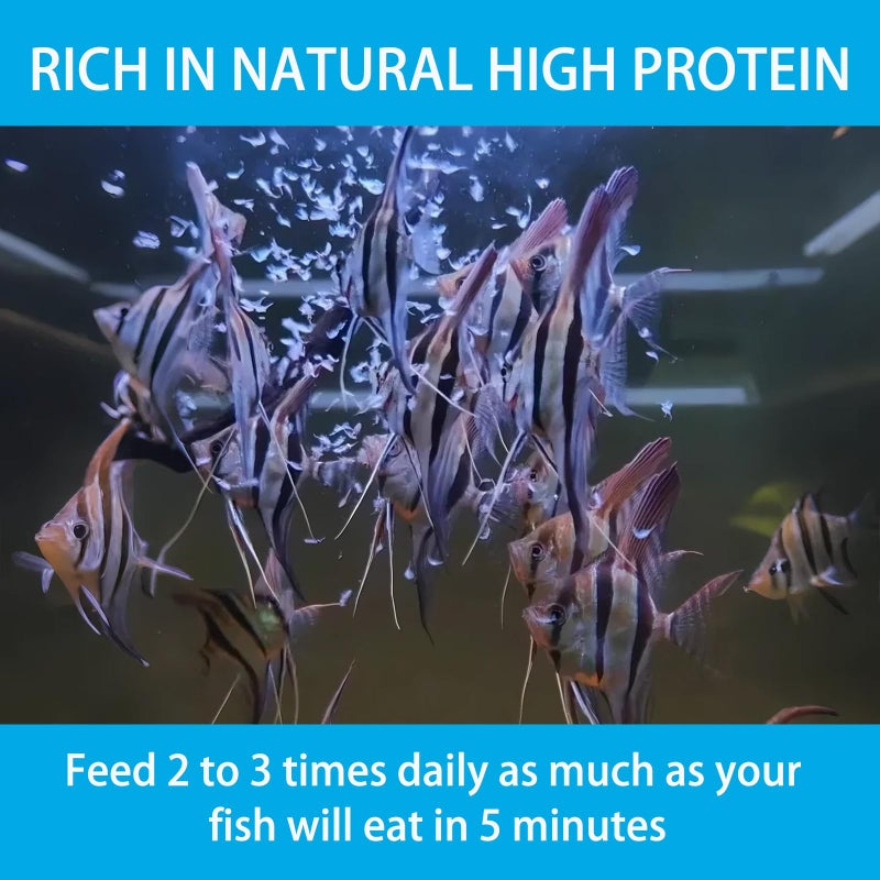 JADINGSFARM Brine Shrimp Fish Food, Ready to Use Aquarium Fish Food, Non-Living Instant Food for Betta Saltwater Marine Freshwater Fish (Adult Brine Shrimp) - Image 4