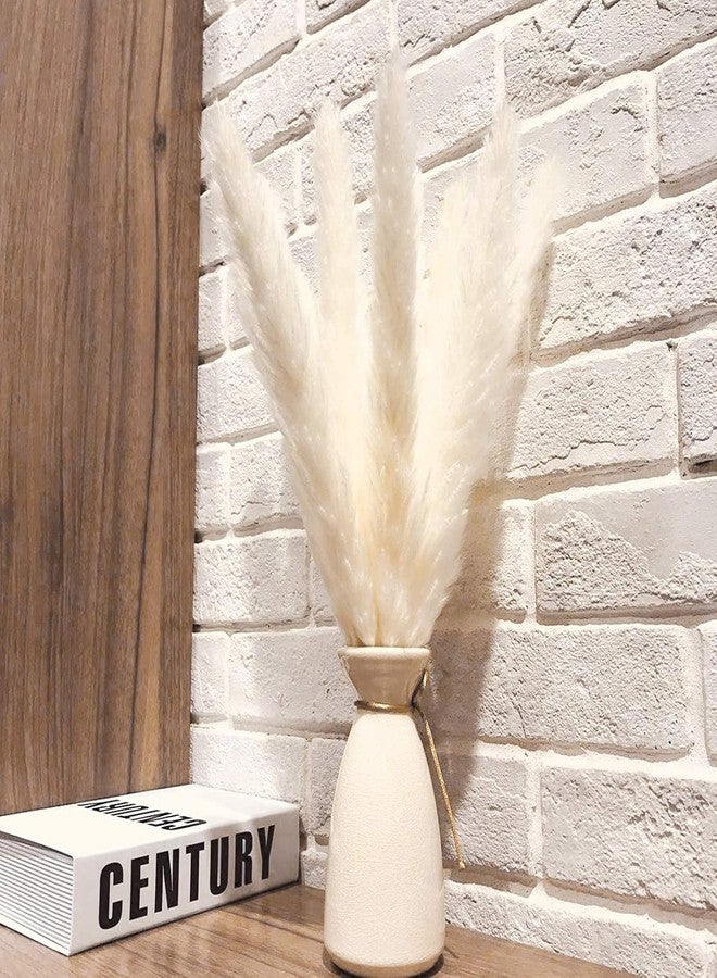 Uieke 50 100 قطعة من ريش عشب البامباس المجفف الطبيعي، بارتفاع 17 بوصة، زهور مجففة، نباتات صناعية كبيرة من القصب الصناعي لتنسيقات زهور حفلات الزفاف، أكاليل منزلية، أبواب (120 قطعة - أبيض) - Image 2