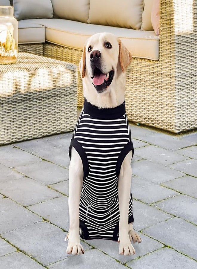 Pets Empire Winter Clothes for Small Size Dogs and Puppies | Black Color Warm Dog Sweater for Pets, Comfortable Dogs Cloths | X-Small 10 inch Length Jacket for Puppies & Cats - Image 3