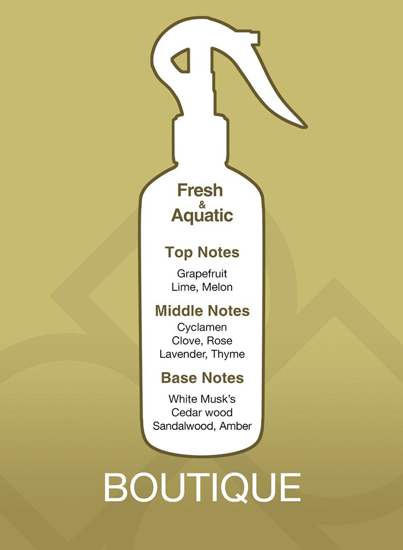 Essancy Aroma Mist Boutique Premium Air Freshener Clear 300ml - Image 2