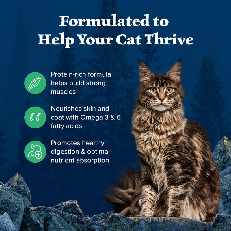 Blue Buffalo Wilderness Healthy Adult Dry Cat Food, Supports Health and Wellness, High-Protein & Grain-Free, Duck, 11-lb Bag - Image 4