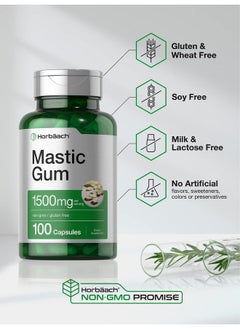Horbaach Horbäach Mastic Gum Capsules 1500mg 100 Count | Non-GMO & Gluten Free  - Image 4