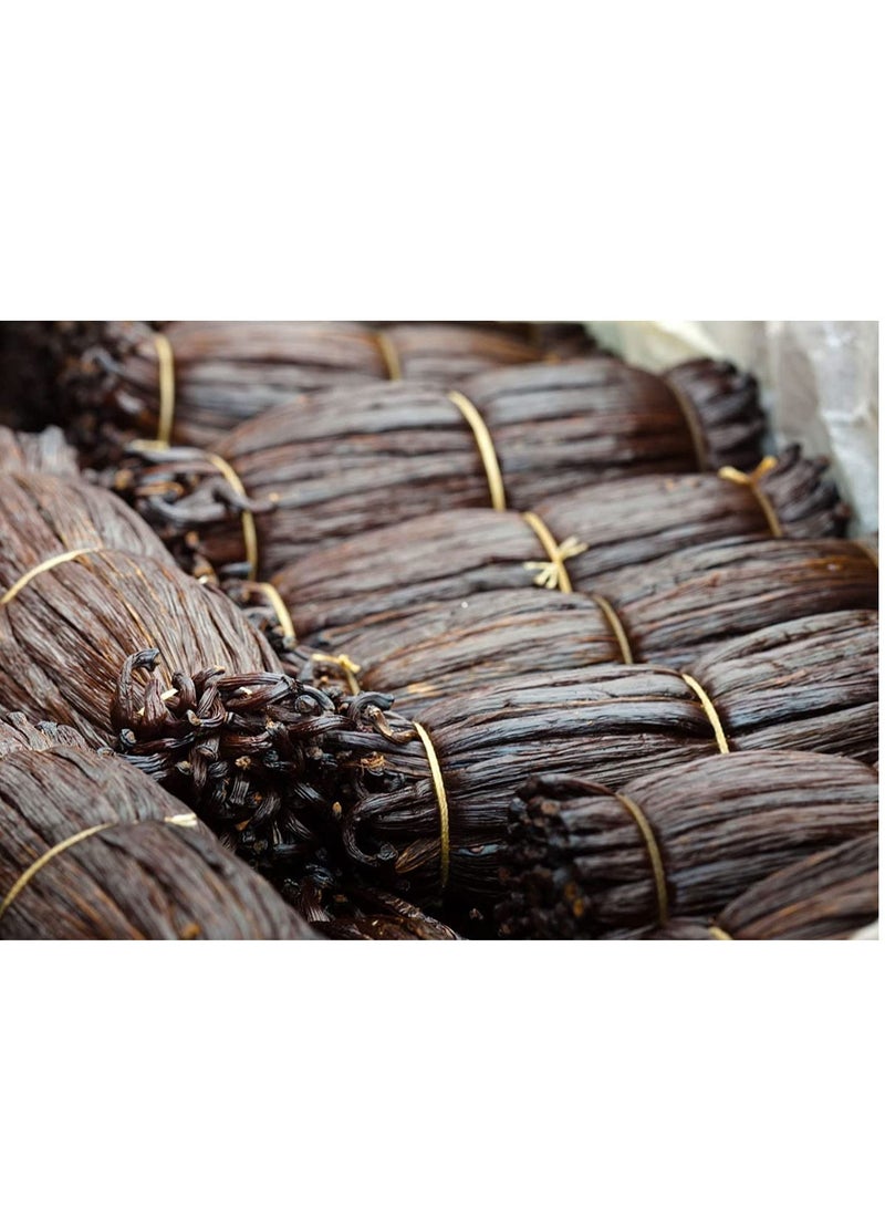 Vanilla Beans A Grade Gourmet Whole Vanilla Pods for Extract And Baking - Image 1