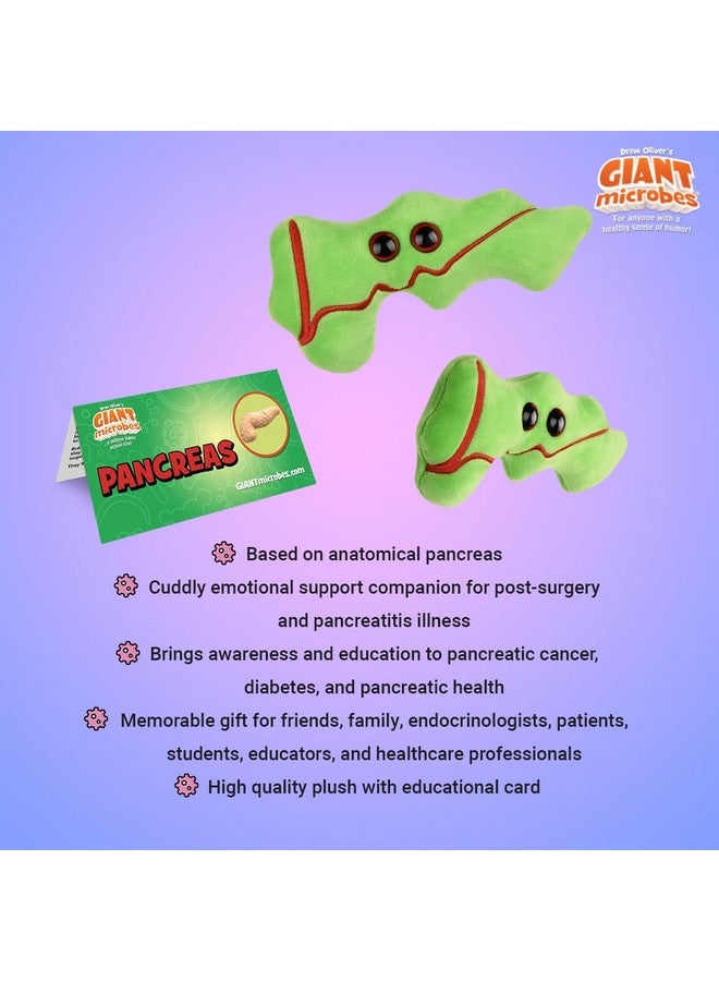 Giant Microbes GIANTmicrobes Pancreas Plush, Pancreas Stuffed Toy, Pancreatic Cancer Awareness, Funny Diabetic Gifts, Diaversary Gift, Diabetes Gift, Endocrinology Gifts - Image 3