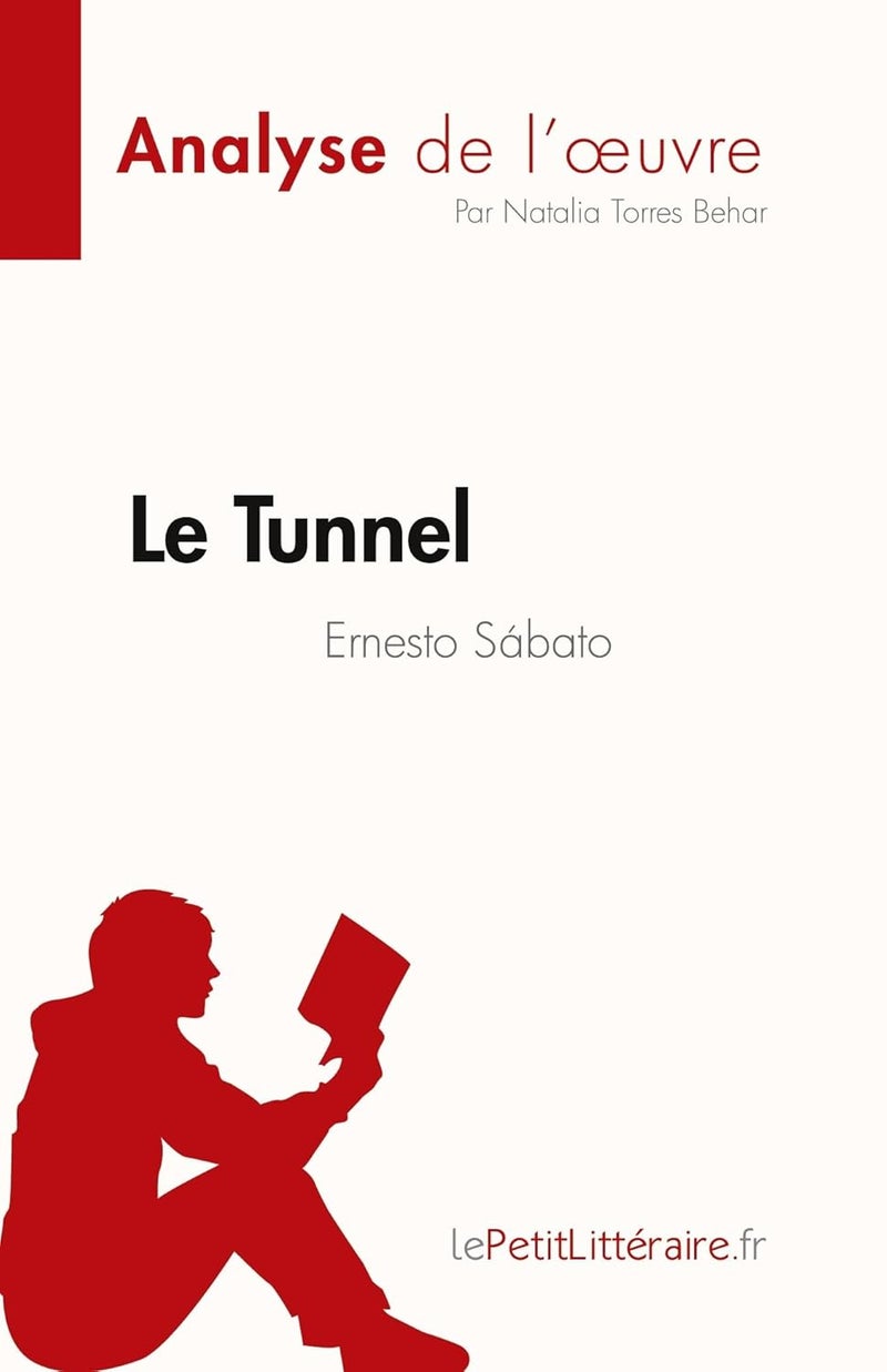 Le Tunnel de Ernesto Sábato (Analyse de l'oeuvre): Résumé complet et analyse détaillée de l'oeuvre - Image 1