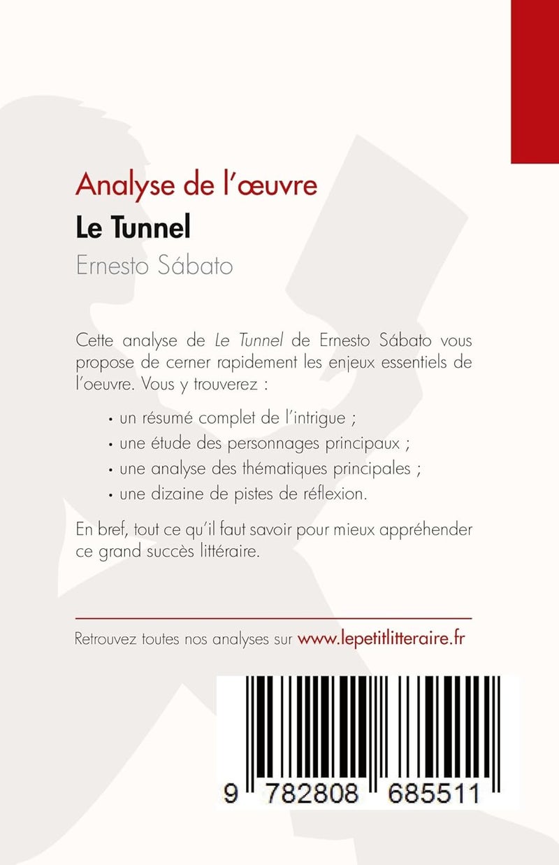 Le Tunnel de Ernesto Sábato (Analyse de l'oeuvre): Résumé complet et analyse détaillée de l'oeuvre - Image 2