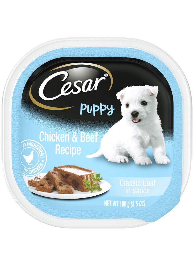 Cesar Pet Food Select for Puppies, 3.5 oz - pzsku/Z482D75BDB2CA75557B09Z/45/_/1737031633/f2d80d37-e3d0-4c4c-8820-56d71c8be1a0