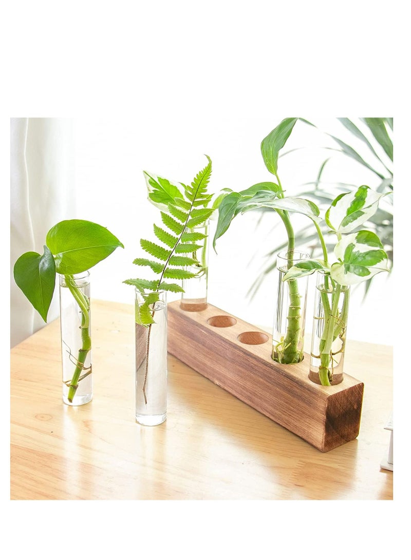 SYOSI Desktop Glass Plant Propagation Station 5 Test Tube Plant Terrarium in Wooden Stand for Hydroponic Plants Cutting Office Home Decoration - Image 2