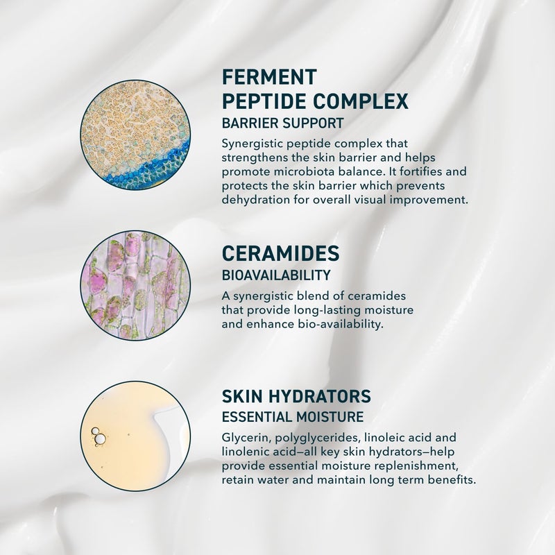 Prequel Skin AM/PM Modern Moisturizer â€“ Hydrating Face Cream with Peptides, Ceramides & Glycerin for Dry, Sensitive, or Combination Skin â€“ Non-Greasy Moisturizer for Barrier Support - Image 3