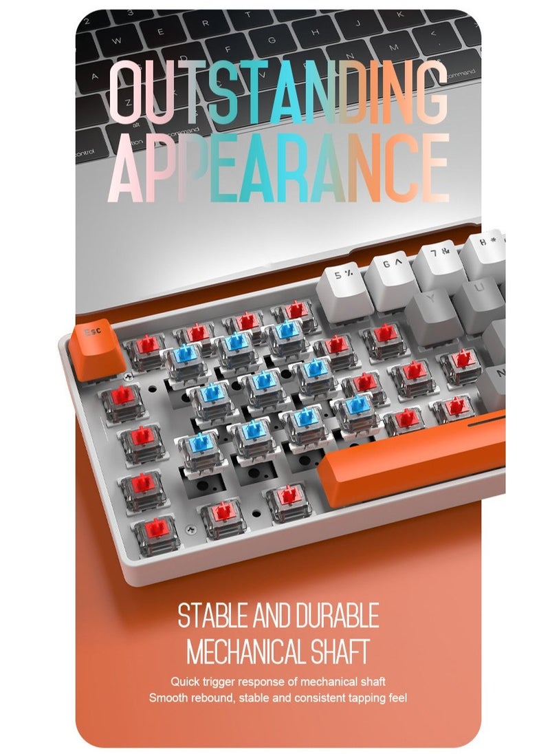 62 Keys Colorful Lights Switch Mechanical Gaming Keyboard 75% Mini Wired Waterproof Backlit Silent White RGB Color Suitable for PC/Ps4/Xbox Gamers - Image 2
