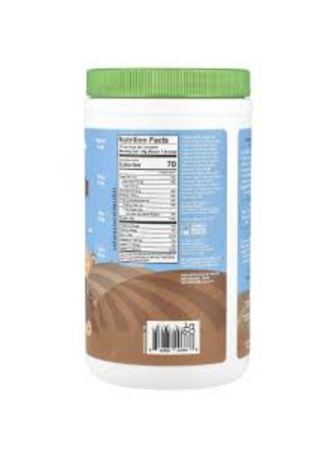 Amazing Grass, Kidz Superfood®, Protein + Probiotics, Extreme Chocolate 285 g - Image 4