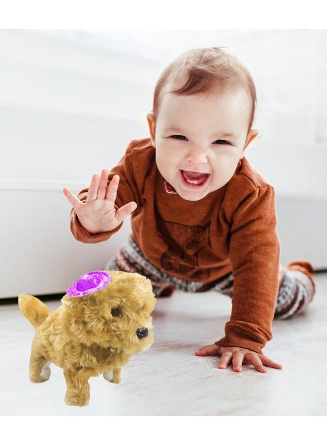 vGRASSP VGRASSP Fluffy Fantastic Walking Puppy Toy for Kids - Cap Dog with Light in Eyes and Cute Puppy Sound - Adorable, Safe and Soft Toy - Color and Design As Per Stock  - Image 2