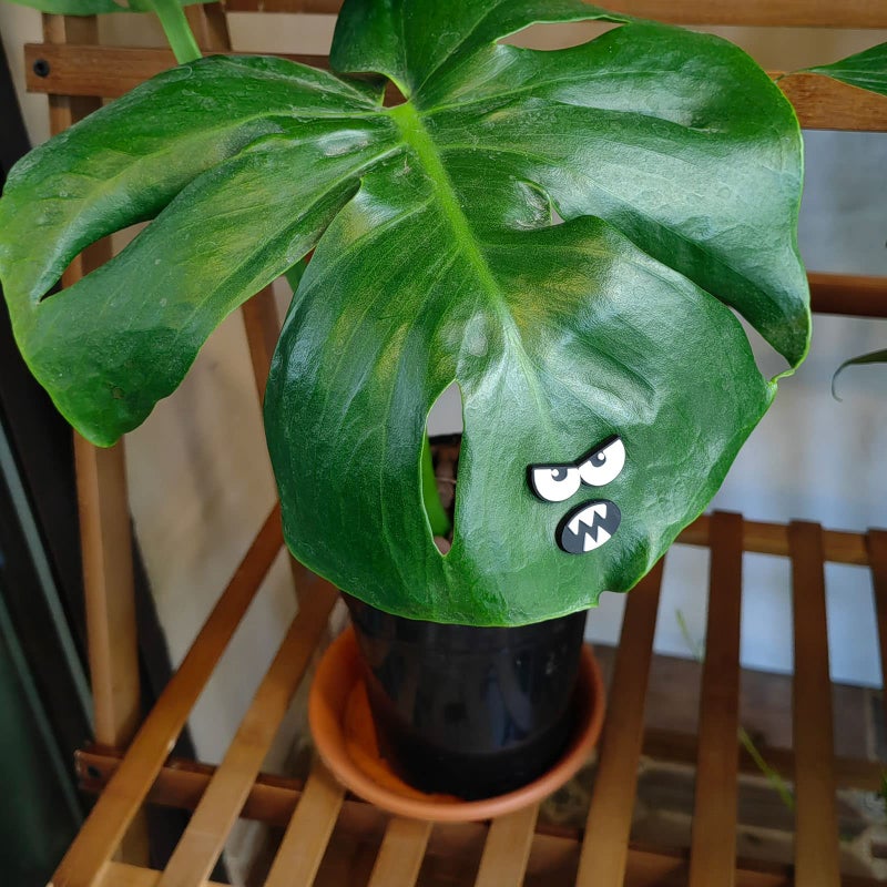 HOMDSG Monster Plant Magnets Eyes for Potted Plants, Funny Plant Safe Magnet Pins Charms, House Plant Accessories, Christmas Decorations Gift for Plant Lovers - Image 4