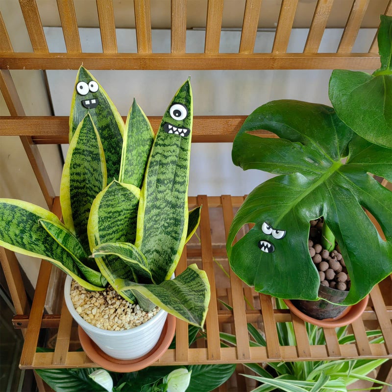 HOMDSG Monster Plant Magnets Eyes for Potted Plants, Funny Plant Safe Magnet Pins Charms, House Plant Accessories, Christmas Decorations Gift for Plant Lovers - Image 2