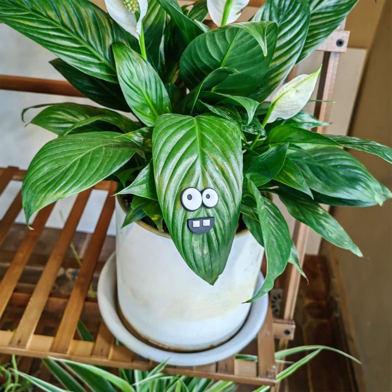 HOMDSG Monster Plant Magnets Eyes for Potted Plants, Funny Plant Safe Magnet Pins Charms, House Plant Accessories, Christmas Decorations Gift for Plant Lovers - Image 3