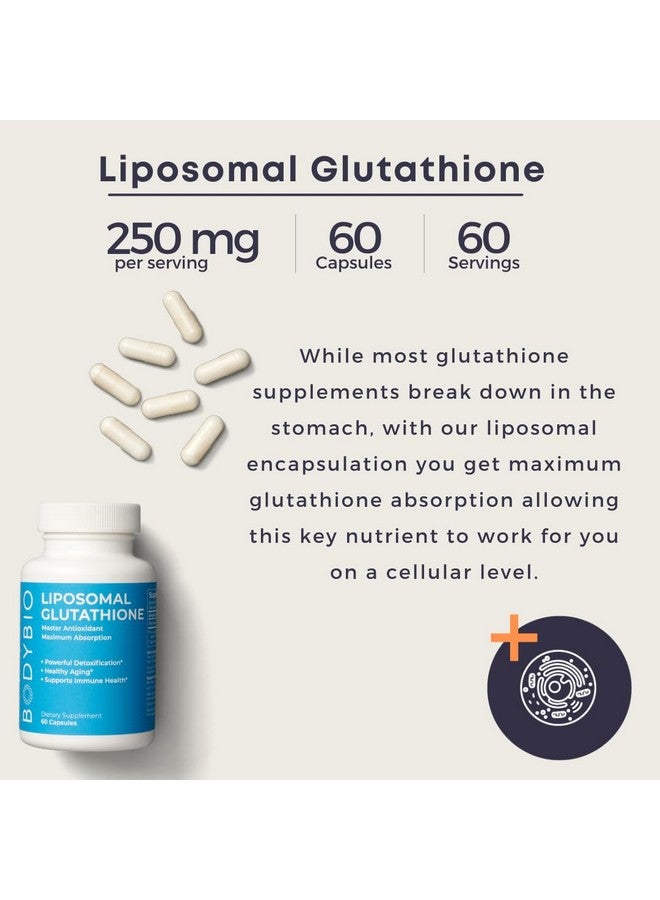 بودي بايو BodyBio Liposomal Glutathione | أقوى مضادات الأكسدة في الجسم | إزالة السموم من الجسم | تطهير القولون | حماية مثالية للخلايا من أجل الدفاع المناعي | امتصاص ليبوسومي معزز | 60 كبسولة - Image 4