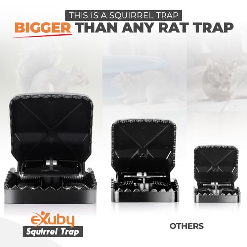 eXuby Squirrel Trap (2 Pack) - Consistent & Humane Kill Every Time with no Failures - Powerful Spring - 5" Large Opening - 96% Instant Kill - for Attic, Garden, Forest & More - Reusable - Easy Setup - Image 3