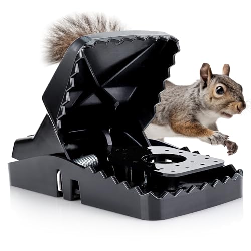 eXuby Squirrel Trap (2 Pack) - Consistent & Humane Kill Every Time with no Failures - Powerful Spring - 5" Large Opening - 96% Instant Kill - for Attic, Garden, Forest & More - Reusable - Easy Setup - Image 1