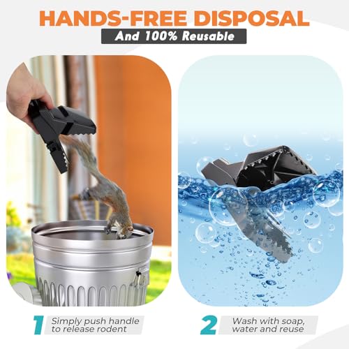 eXuby Squirrel Trap (2 Pack) - Consistent & Humane Kill Every Time with no Failures - Powerful Spring - 5" Large Opening - 96% Instant Kill - for Attic, Garden, Forest & More - Reusable - Easy Setup - Image 4