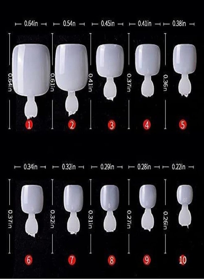 bolt bee Toe Nail Tips for Nail Art Square Shaped Acrylic Fake Toe Nails with Case for Nail Extensions,diy Nail Art & Salons | French Artificial toe nails for Pedicure,salon Use,home - Image 2